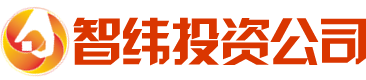 某某金融有限公司